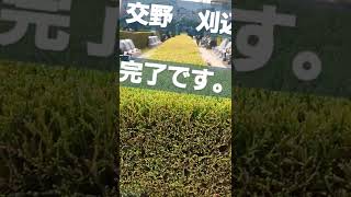 交野市　お墓　みどりが多い　整備されている　#shorts