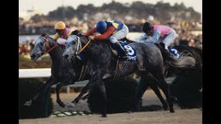 【競馬】キタサンブラックが・・・サトノクラウンが・・・ヽ(^o^)丿　G1『宝塚記念2017』阪神競馬場