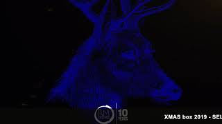 DOPE - Chris Venola - LPSC054 - Lapsus Music Xmas Box 2019 - Selected by Supernova