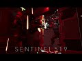 sentinel 519 physics in motion