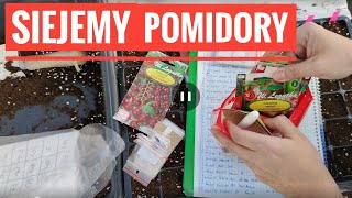 Uprawa pomidorów. Jak siać pomidory Rosyjskie odmiany pomidorów Kasia in pomidory. Nasiona pomidorów