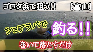 【ショアラバ】ゴロタ浜の激浅をショアラバで攻略。