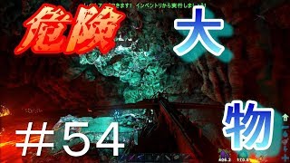 落ちたら終わり！マグマの大物の洞窟！！【素人ARK Survival Evolved実況＃５４】