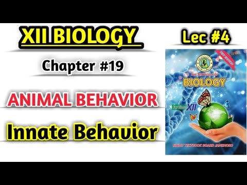 Innate behavior lesson n°4 Animal behavior class 12 biology