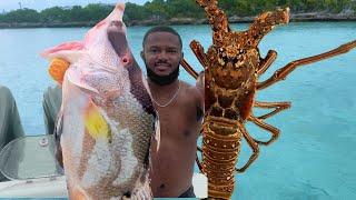 BIG Hogfish and Lobster dive in THE BAHAMAS