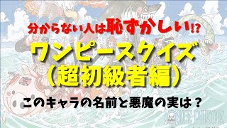 【全30問】ワンピースキャラ名前当てクイズ（超初級者編）