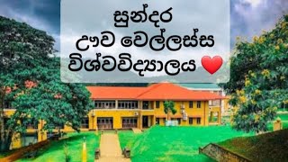 සුන්දර ඌව වෙල්ලස්ස විශ්වවිද්‍යාලය | Uva Wellassa University ❤️