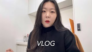 [르미VLOG]30대 직장인 육아 워킹맘 브이로그| 싱글맘 브이로그 단 하나 내 전부