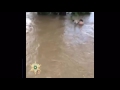 EBRSO Rescues Two Men From Swift Flood Waters