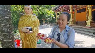 Sala Tree: Phuoc Son Monastery (Thiền viện Phước Sơn)