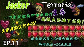 [Jacker] Terraria生存 EP.11 达成困难模式之前最大生命上限！