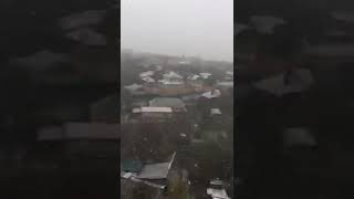 Snow Falling in Poltava. Снігопад у Полтаві