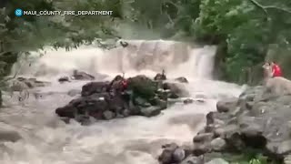 Firefighters rescue 3 Maui teens stranded in rushing stream