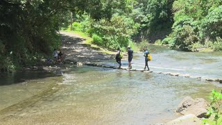 雙流國家森林遊樂區 五感體驗大自然之美 - 屏東旅遊 - 台灣新聞