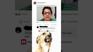 dog caramelo reacts #memes #shortsmemes