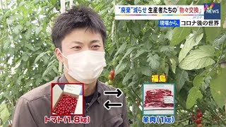 【SDGs×コロナ後の世界】農作物の廃棄減らせ！トマト農家の挑戦