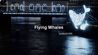 Geneva Lux 2021 - Flying Whales