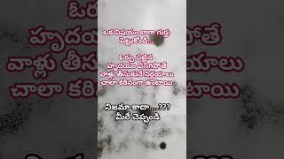 ఓర్పు పట్టిన హ్రుదయం #chinnu1410 #quotes #motivation #manchimatalu #viralshort #shorts#yputubeshorts