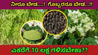 ನೀರೂ ಬೇಡ..! ಗೊಬ್ಬರನೂ ಬೇಡ...! ಎಕರೆಗೆ 10 ಲಕ್ಷ..! ಮೋರಿಂಗ ಬೆಳೆ | moringa farming #farming #krishikalyana