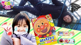 【寸劇】アンパンマンの絆創膏　パパとありさちゃんがけがしちゃった😭😭😭　てあてごっこ👍