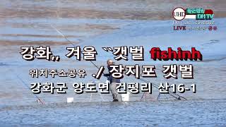 UHD주소정보채널 강화 갯벌 fishing  실전영상 LIVE 좋은방송 DH TV 제작 구독 좋아요