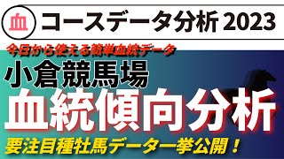 【競馬】小倉競馬場血統傾向分析！各コース厳選種牡馬データ一挙大公開！2023年夏最新版！