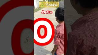 Save 💦🌊 💧☔ Water Snake 🐍 || నీరు కట్టె. నీళ్ల పాము . #shorts #ytshorts #prayagraj #mahakumbh2025