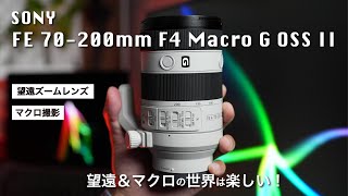 【SONY FE 70-200mm F4 Macro G OSS II】望遠ズームレンズ！望遠レンズでマクロ撮影も出来る！高い描写性能でコンパクトサイズ！動画でも使える！【SEL70200G2】