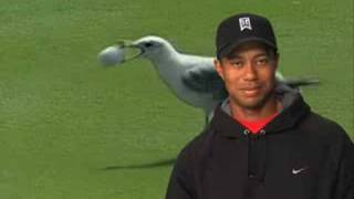 Tiger Woods 09 - Hard Day