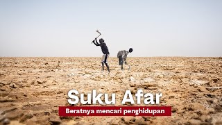 Suku Afar - pekerja keras ditempat terpanas. Penambang Garam Ethopia.