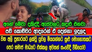 වන අලි ප්‍ර|හා|ර|යට ලක්වූ යුවල මි|ය|යන්නට පෙර එක්කල අ|වසන් සං|වේදී වීඩියෝව | sad news of sinhala