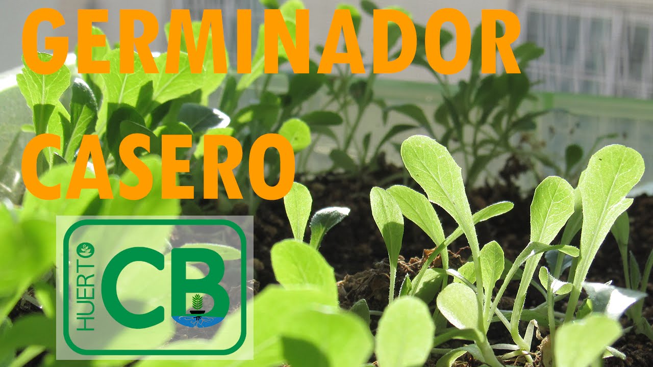 Germinador Casero GRATIS - YouTube