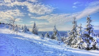 Beautiful Snow fall around Nature | இயற்கையைச் சுற்றி அழகான பனி வீழ்ச்சி