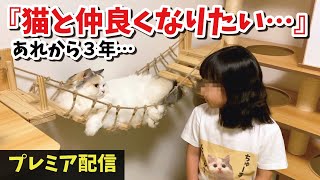 【プレミア配信】幼稚園の娘と猫たちの仲良し成長記録！？【関西弁でしゃべる猫】【猫アテレコ】