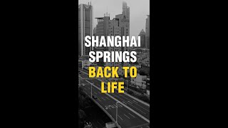 China’s Shanghai springs back to life after 2-month lockdown | Covid | WION Shorts
