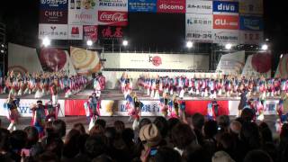 十人十彩　～2011高知よさこい祭り・本祭２日目(中央公園競演場)