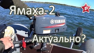 Yamaha (Ямаха) 2-DMHS / Когда актуален?