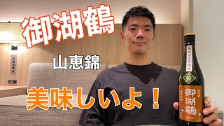 【日本酒10】日本酒『御湖鶴』を飲んだよ。日本株の進捗（13ヶ月目）についての話だよ。