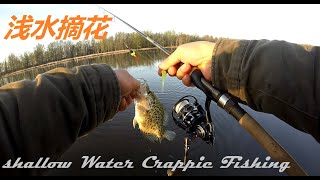 【油管短视频 YT Shorts】走，到浅水中找花去:一尺浅水钓花鲈Finding Crappie In Super Shallow Water 21/05/2020