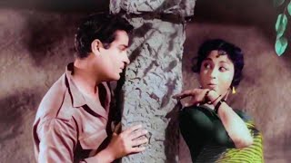 Dil tera deewana hai sanam- Dil Tera Deewana 1962- Shammi Kapoor-Mala Sinha- 4K HD Video song.