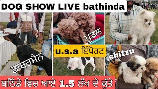 ਕੁੱਤਿਆਂ ਦਾ ਸ਼ੋਅ ਬਠਿੰਡਾ | Dog Show in Bathinda | 31 ਦਸੰਬਰ 2023 | ਫੁੱਲ ਰੌਣਕ ਮੇਲਾ | Live