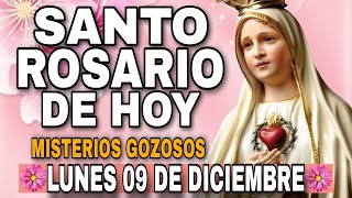 Santo Rosario De Hoy Lunes 09 De Diciembre Del 2024 - Misterios Gozosos - Rosario De Hoy Corto