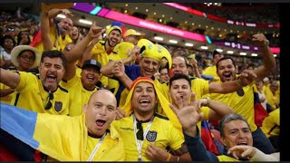 Reaccion de hinchas  desde el estadio QATAR VS ECUADOR CLICKBAIT