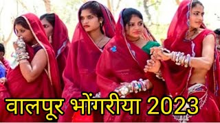 वालपूर भोंगरीया 2023 !! Walapur bhogoriya ka video 2023 !! tribal dance video 05