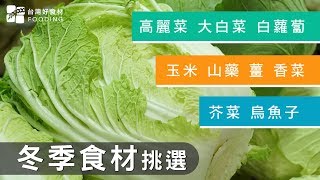 【冬季食材挑選大哉問】高麗菜、大白菜、白蘿蔔、玉米、山藥、薑、香菜、芥菜、烏魚子| 台灣好食材 Fooding