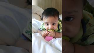 #நீங்க இதை ட்ரை பண்ணி பாருங்க #trending(8 month old) #இனி கவலை வேண்டாம்  #yshorts