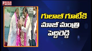 గులాబీ గూటికి మాజీ మంత్రి పెద్దిరెడ్డి | Peddireddy Joins In TRS | MAHAA NEWS