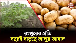 আলুর আবাদ বাড়লেও প্রাকৃতিক দুর্যোগে নষ্টের শঙ্কা | Potato | Channel 24