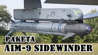 Американская ракета AIM-9 Sidewinder || Обзор