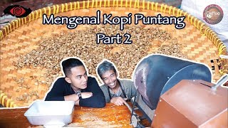 Mengenal Kopi Puntang (Part 2) - CoffeeNesia